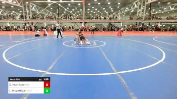 113A lbs Quarterfinal - Dominick Morrison, Hatboro Horsham Warriors vs Liam Mcgettigan, Gilman