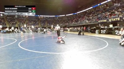 48 lbs Quarterfinal - Hale Ulsamer, Keystone Central vs Hudson Hose, Pennsbury