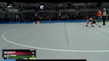 45 lbs Semis & 1st Wrestleback (8 Team) - Blake Timmer, Roseau vs Leo Strauss, Hutchinson