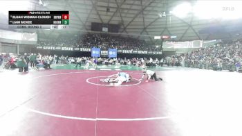 Boys 2A 132 lbs Cons. Round 2 - Liam McKee, Hockinson vs Elijah Wisman-clough, Deer Park