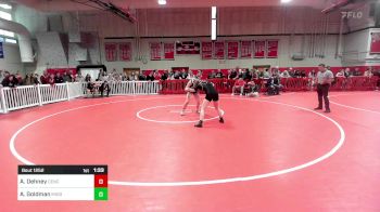 147 lbs Final - Ashley Dehney, Central Catholic vs Ayla Goldman, Middleborough