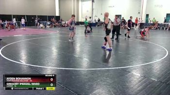 175 lbs Round 9 (10 Team) - Gregory Imerzel-Ward, Lapeer vs Ayden Bohannon, Team Montana Willston