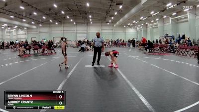 65 lbs Round 5 - Brynn Lincoln, Team Tugman vs Aubrey Krantz, NDWA