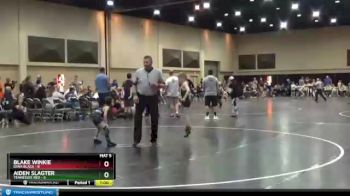 50 lbs Finals (2 Team) - Blake Winkie, Iowa Black vs Aiden Slagter, Tennessee Red