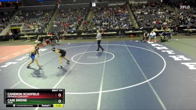 106 lbs Quarterfinal - Cameron Schofield, Franklin Community vs Case Bridge, Avon