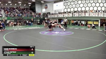 144 lbs Cons. Round 5 - Gage Baribeau, Midview vs Ethan DeTray, Oak Harbor