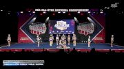 Freedom Allstar Cheer & Tumble - Revenge [2026 L4.2 Senior - D2 - Small Day 2] 2026 NCA All-Star National Championship