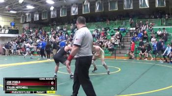 175 lbs Cons. Round 4 - Joe Foels, Perrysburg vs Tyler Mitchell, Springboro