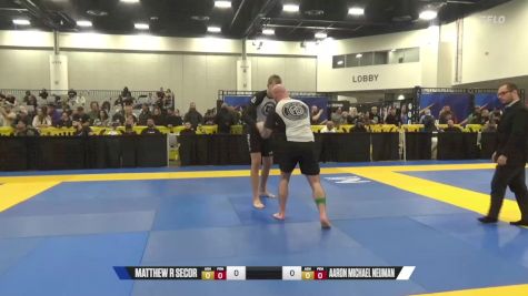 Aaron Michael Neuman vs Matthew R Secor 2024 World IBJJF Jiu-Jitsu No-Gi Championship