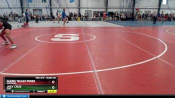 Elite 125 lbs Semifinal - Alexis Tellez Perez, Wartburg vs Joey Cruz, Iowa