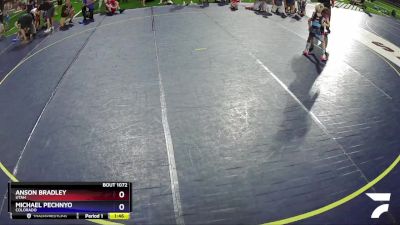 60 lbs Quarterfinal - Anson Bradley, Utah vs Michael Pechnyo, Colorado