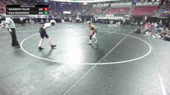 D3-132 lbs Quarterfinal - Rigoberto Tellez, Oostburg vs Cale Quaintance, Marathon