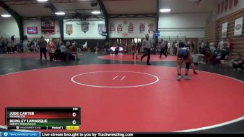 138 lbs Round 5 - Berkley LaMarque, Liberty (Wentzville) vs Jude Carter, Washington