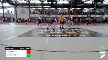 117-124 lbs Quarterfinal - Beth Ciavarella, Conant HS vs Camryn Lippens, Dubuque RTC