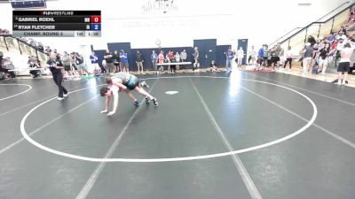 132 lbs Champ. Round 3 - Gabriel Roehl, MN vs Ryan Fletcher, IA