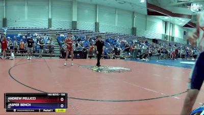 136 lbs Cons. Round 3 - Andrew Pellicci, IL vs Jasper Bench, MT