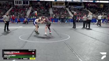 115 lbs Cons. Round 2 - Isys Galindo, Pittsburg vs Danika Metcalfe, Thunderstruck