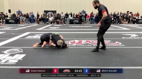 Noah Araujo vs Bryce Walker 2025 ADCC Orlando Open/Youth Trials
