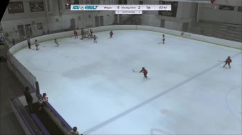 Replay: Home - 2024 Wayne SQT vs Hockey Farm SQT | Apr 8 @ 5 PM