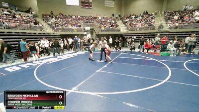 100 lbs Quarterfinal - Brayden McMillan, Team Prestige WC vs Cooper Woods, Virgin Valley Bulldogs