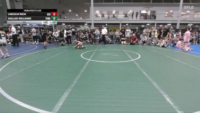 52 lbs Round 1 (6 Team) - Lincoln Rich, Ohio Gold Black vs Dallas Williams, POWA