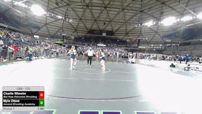 120 lbs Champ. Rd Of 16 - Charlie Wheeler, Mat Rats Rebooted Wrestling vs Myla Ottow, Ascend Wrestling Academy