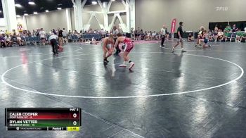 138 lbs Round 5 (10 Team) - Dylan Vetter, Reservoir Dogs vs Caleb Cooper, Fight Barn WC