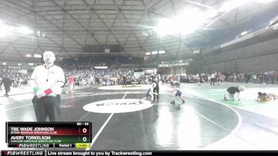 43 lbs Cons. Round 2 - Tre Wade Johnson, Kitsap Ironman Wrestling Club vs Avery Torkelson, Cascade Christian Wrestling Club