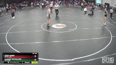 4A 120 lbs Quarterfinal - Josh Horn, Indian Land vs Kaiden McCallum, May River