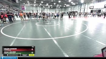 102 lbs Cons. Round 3 - Noah Agloro, Askeo International Mat Club vs Halen Hanson, Washington