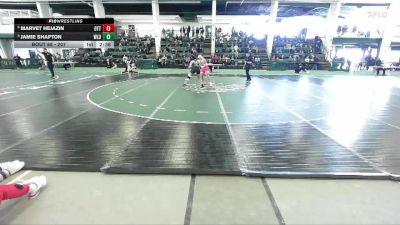 207 lbs Quarterfinal - Marvet Hejazin, Otterbein vs Jamie Shapton, West Liberty