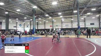 123 lbs Quarterfinal - Alexzander Cervantes, Rogue Matclub vs Jaxon Gillespie, All-Phase WC