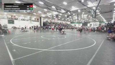 113 lbs Quarterfinal - Gunner Thompson, Nebraska Elite Wrestling vs Parker Hansen, Ozark High School