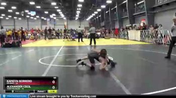 96 lbs Round 4 - Kamdyn Borrero, PA Gold vs Alexander Cecil, Team Michigan