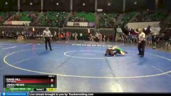 106 lbs Quarterfinal - Owen Meads, Ashville vs David Hill, Oak Grove