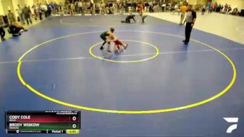 75 lbs Quarterfinal - Brody Wiskow, Roseau vs Cody Cole, Bold