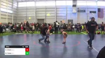 40 lbs Quarterfinal - Henrik Olson, Salem Elite vs Nashy Yates, Delta WC