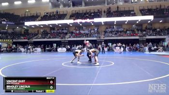 103 lbs Cons. Round 2 - Vincent Gust, New Stuyahok vs Bradley Lincoln, Unalakleet Schools