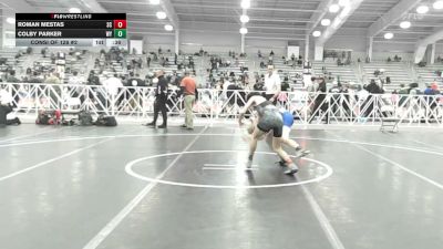 106 lbs Consi Of 128 #2 - Roman Mestas, SC vs Colby Parker, WY