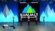 Star Steppers Dance - Junior Small Pom [2025 Junior - Pom - Small Prelims] 2025 The Dance Summit