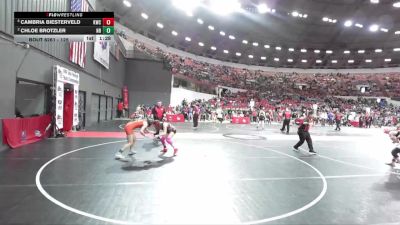 125 lbs Cons. Round 3 - Chloe Brotzler, New Richmond vs Cambria Biesterveld, Kimberly Wrestling Club