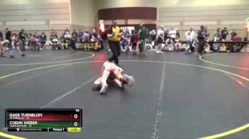 95 lbs Round 1 (4 Team) - Gage Turnblom, MI Pitbulls vs Coehn Weber, Team Gotcha