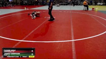 84 lbs Semis (4 Team) - Joseph Udermann, Foley vs Tucker Wolf, Grand Rapids