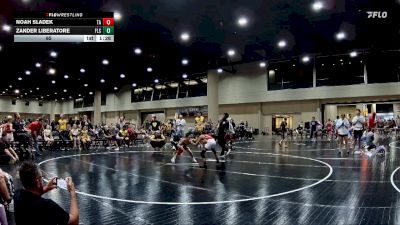 65 lbs Round 2 (6 Team) - Noah Sladek, Team Arkansas vs Zander Liberatore, Florida Scorpions