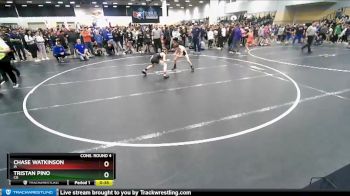 83 lbs Cons. Round 4 - Tristan Pino, CO vs Chase Watkinson, IA