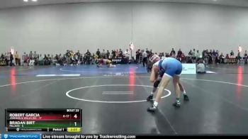 165 lbs Semis & 3rd Wb (16 Team) - Bradan Birt, Millikin vs Robert Garcia, Johnson & Wales (RI)