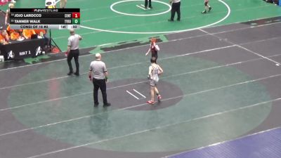 89 lbs Consi Of 16 #2 - Jojo LaRocco, Central York vs Tanner Walk, Tyrone