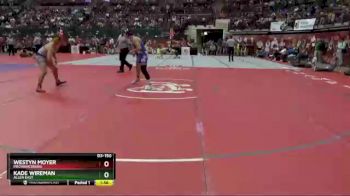 D3-150 lbs Semifinal - Kade Wireman, Allen East vs Westyn Moyer, Mechanicsburg