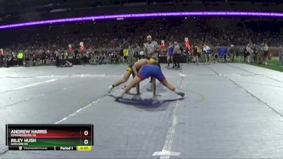 D2-215 lbs Cons. Round 1 - Andrew Harris, Edwardsburg HS vs Riley Hush, Gaylord HS