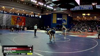 175 lbs Prelim - Jacob Goodsell, Cape Henlopen vs Brandon Papa, Seton Hall Prep